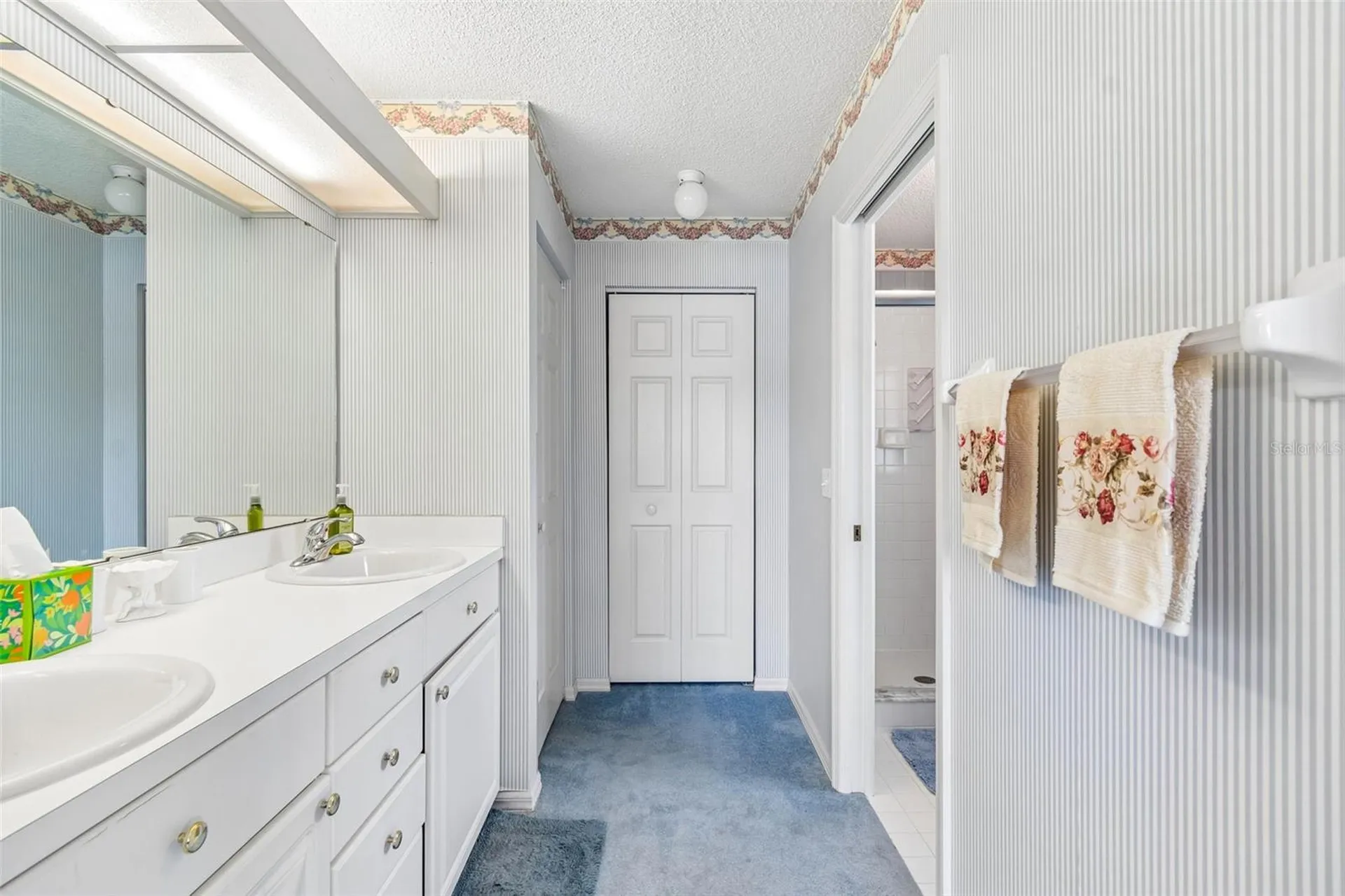 6353 Silver Lakes Drive W Lakeland FL 33810