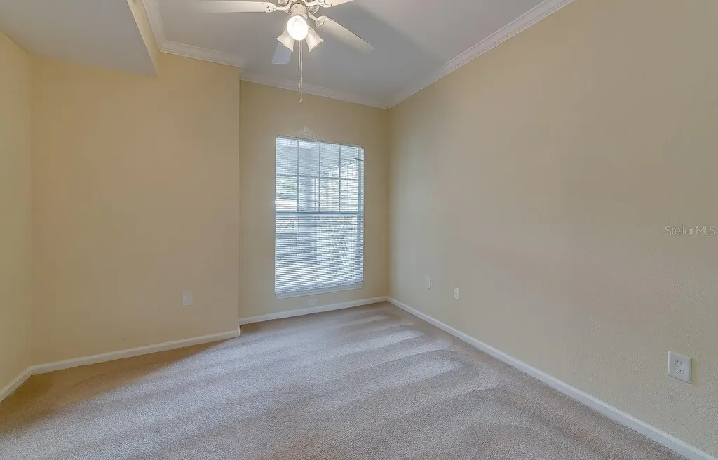 11808 11808 Meadow Branch Drive Orlando FL 32825
