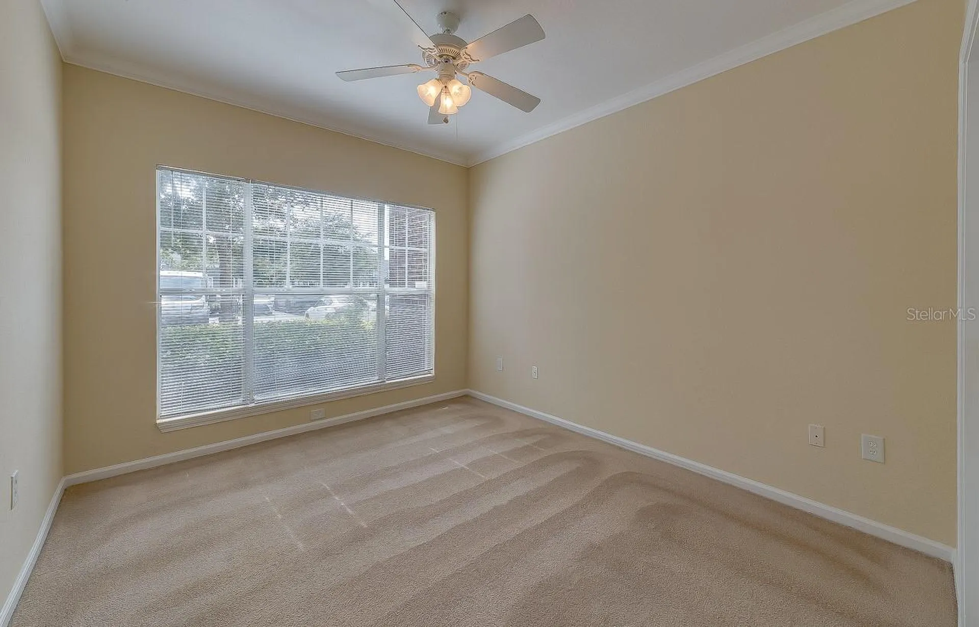 11808 11808 Meadow Branch Drive Orlando FL 32825