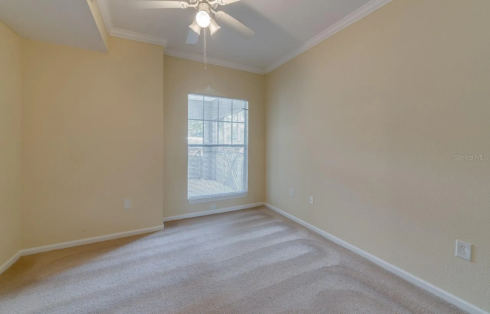11808 11808 Meadow Branch Drive Orlando FL 32825