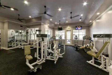 11808 11808 Meadow Branch Drive Orlando FL 32825
