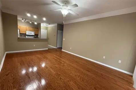 4207 S Dale Mabry Highway Tampa FL 33611