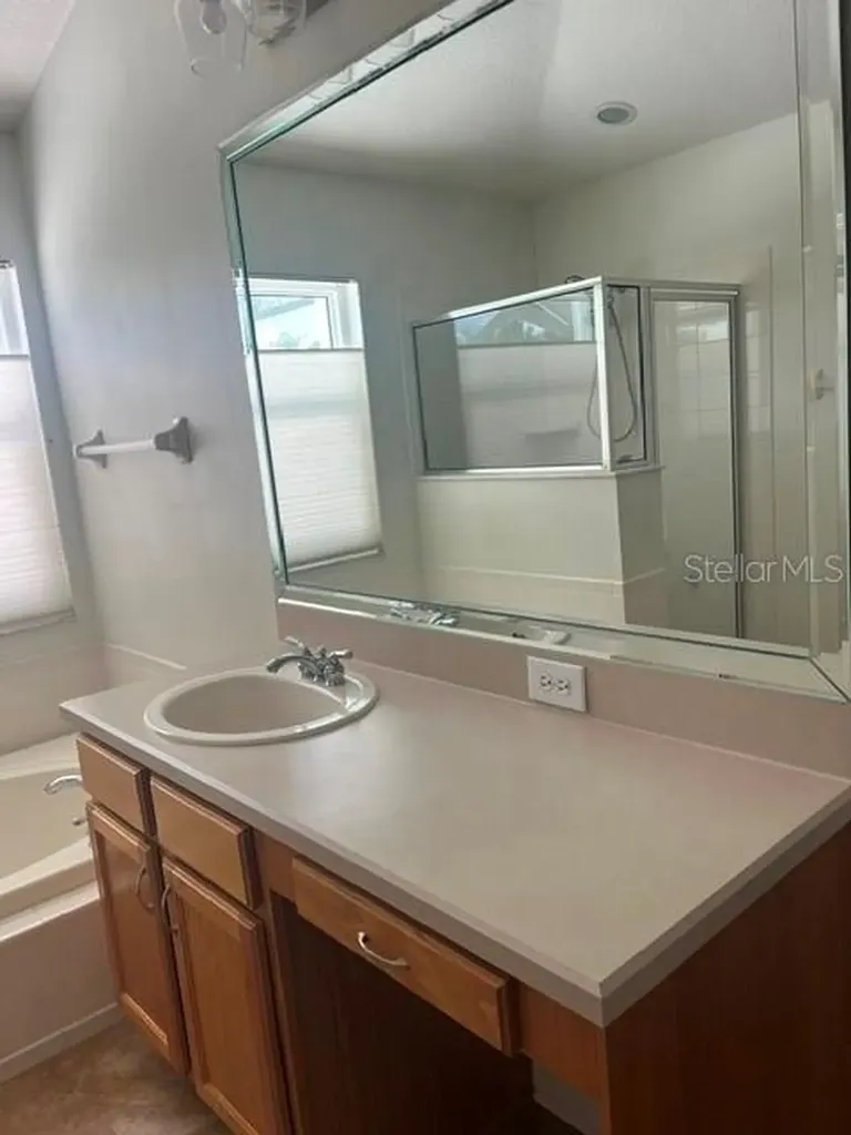 8144 Sanguinelli Road Land O Lakes FL 34637
