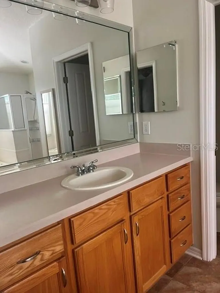 8144 Sanguinelli Road Land O Lakes FL 34637