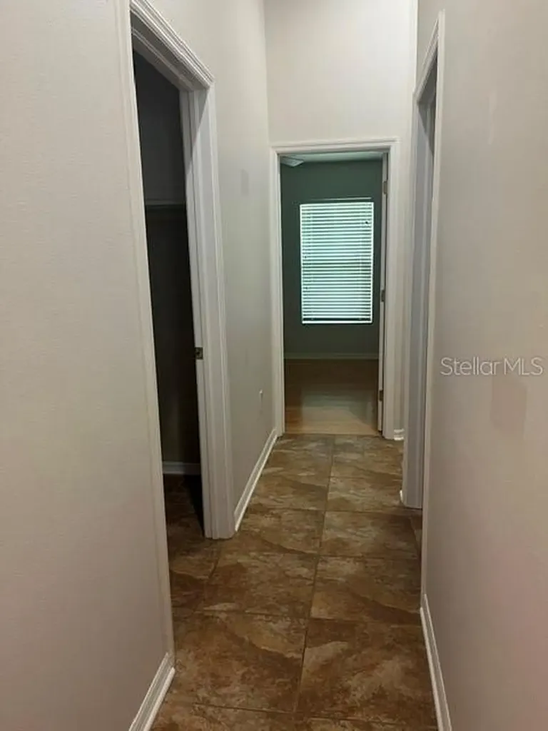 8144 Sanguinelli Road Land O Lakes FL 34637