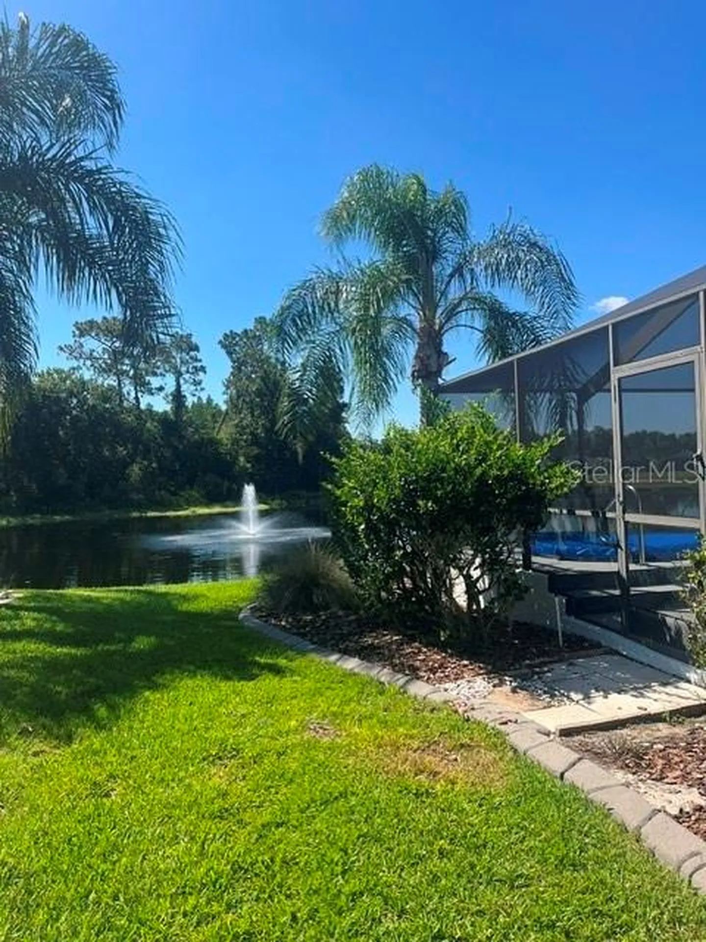 8144 Sanguinelli Road Land O Lakes FL 34637
