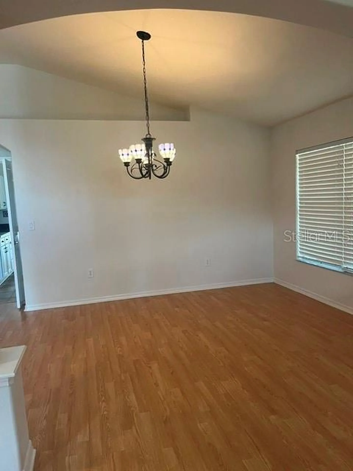 8144 Sanguinelli Road Land O Lakes FL 34637