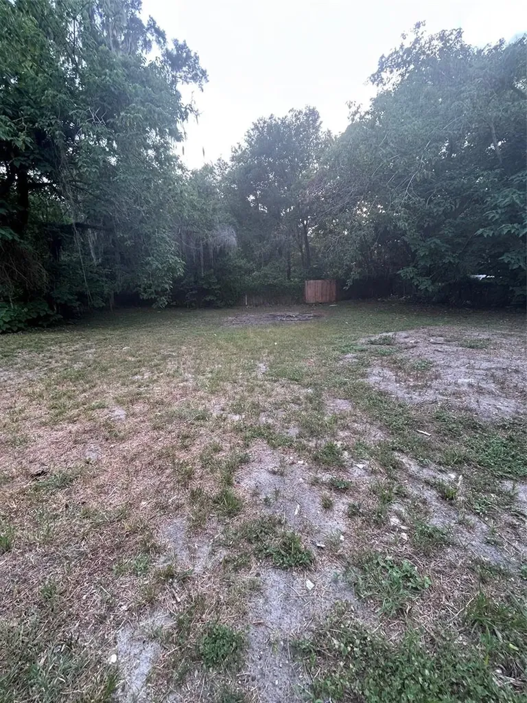 811 Merridale Avenue Leesburg FL 34748