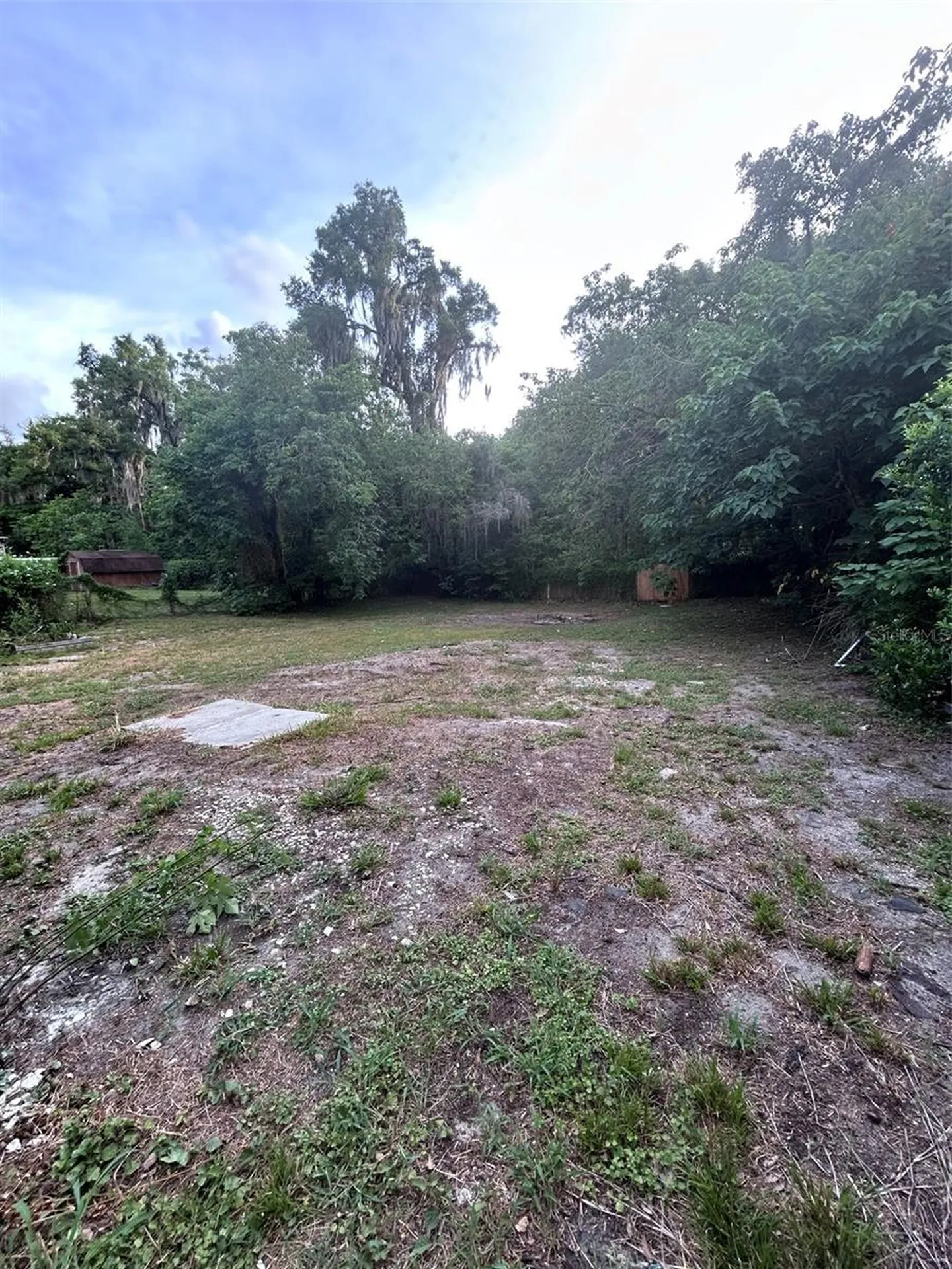 811 Merridale Avenue Leesburg FL 34748
