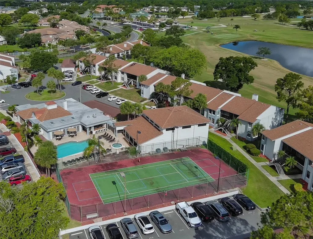 1934 Oyster Catcher Street Clearwater FL 33762