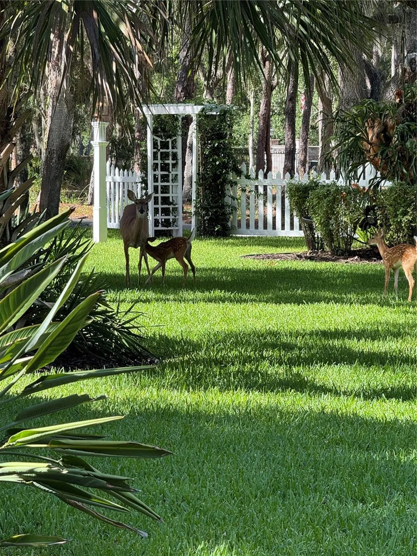 2810 Sarasota Golf Club Boulevard Sarasota FL 34240
