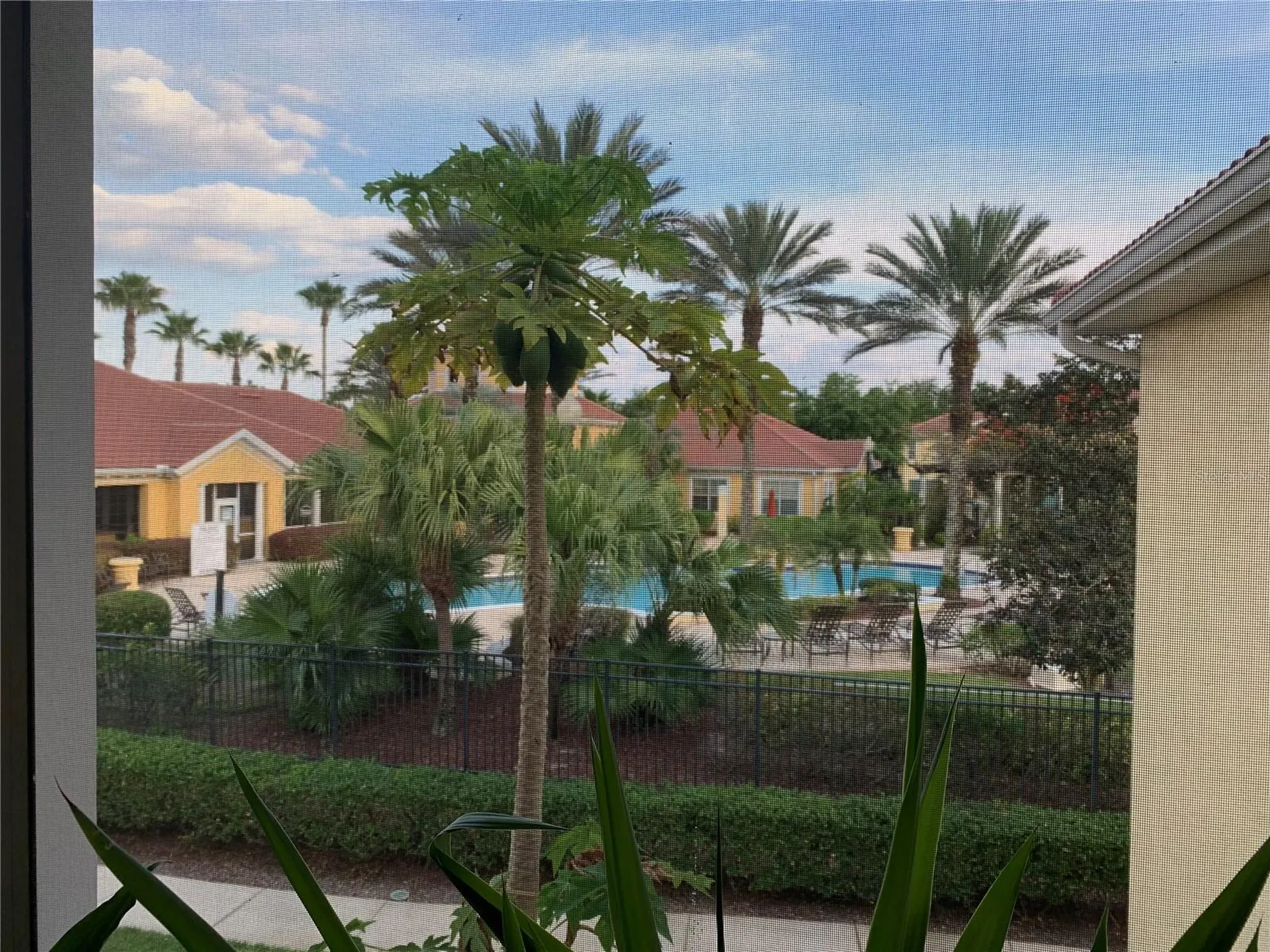12307 Lantana Park Lane Orlando FL 32837