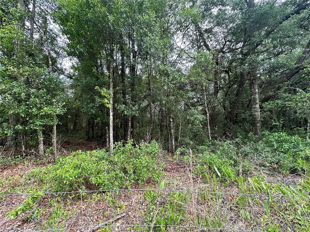 Tbd NE 65th Lane Bronson FL 32621