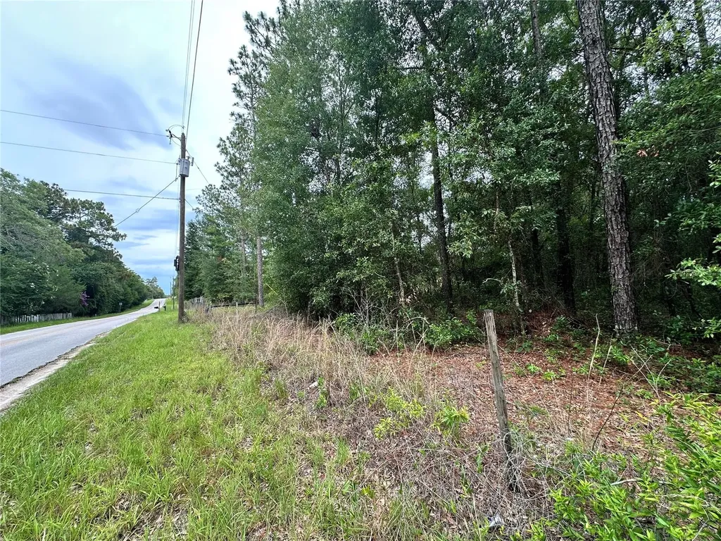 Tbd NE 65th Lane Bronson FL 32621