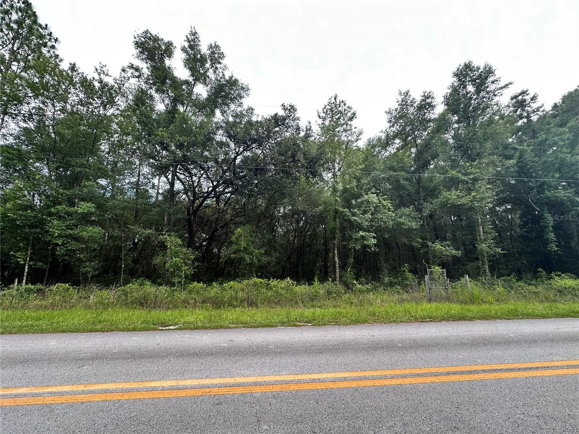 Tbd NE 65th Lane Bronson FL 32621