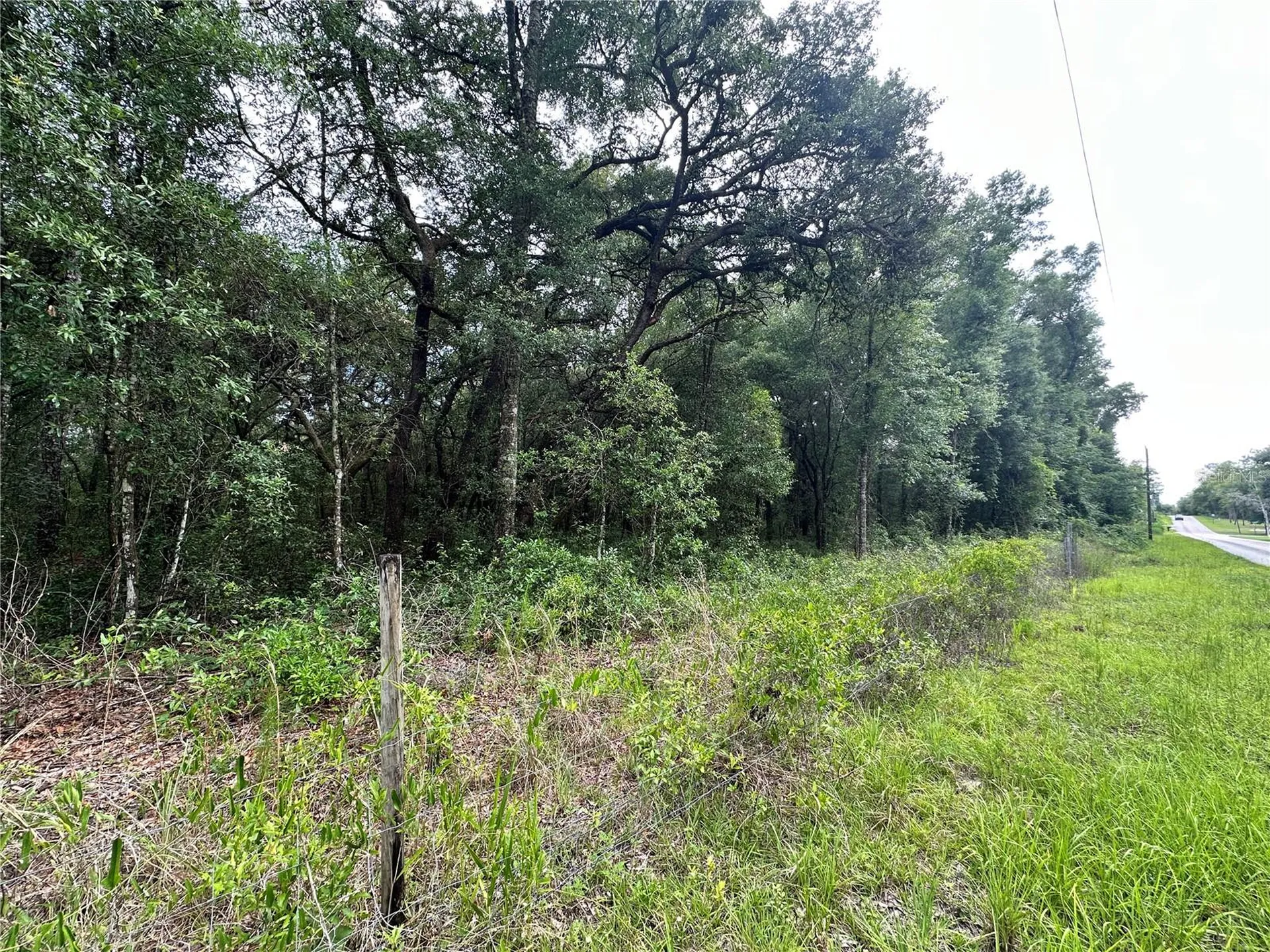 Tbd NE 65th Lane Bronson FL 32621