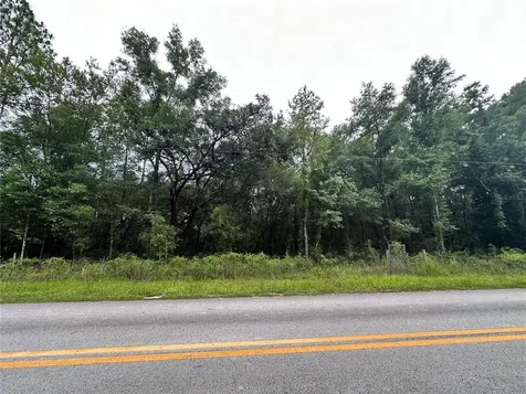 Tbd NE 65th Lane Bronson FL 32621