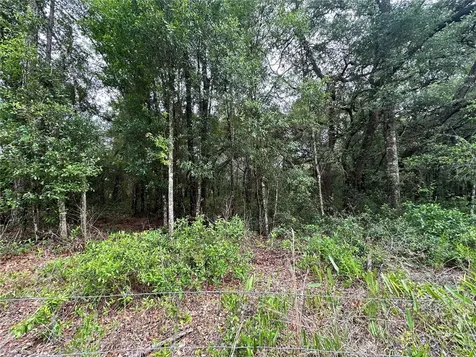 Tbd NE 65th Lane Bronson FL 32621