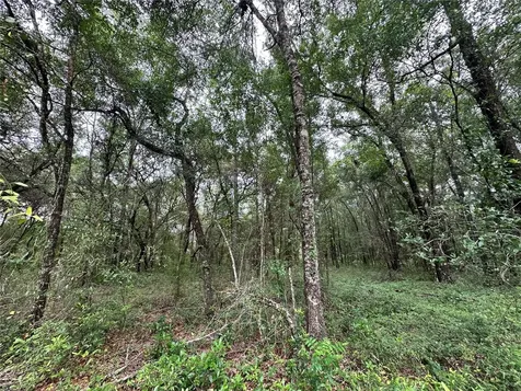 Tbd NE 65th Lane Bronson FL 32621
