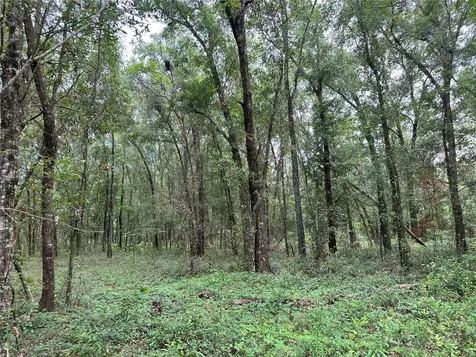 Tbd NE 65th Lane Bronson FL 32621