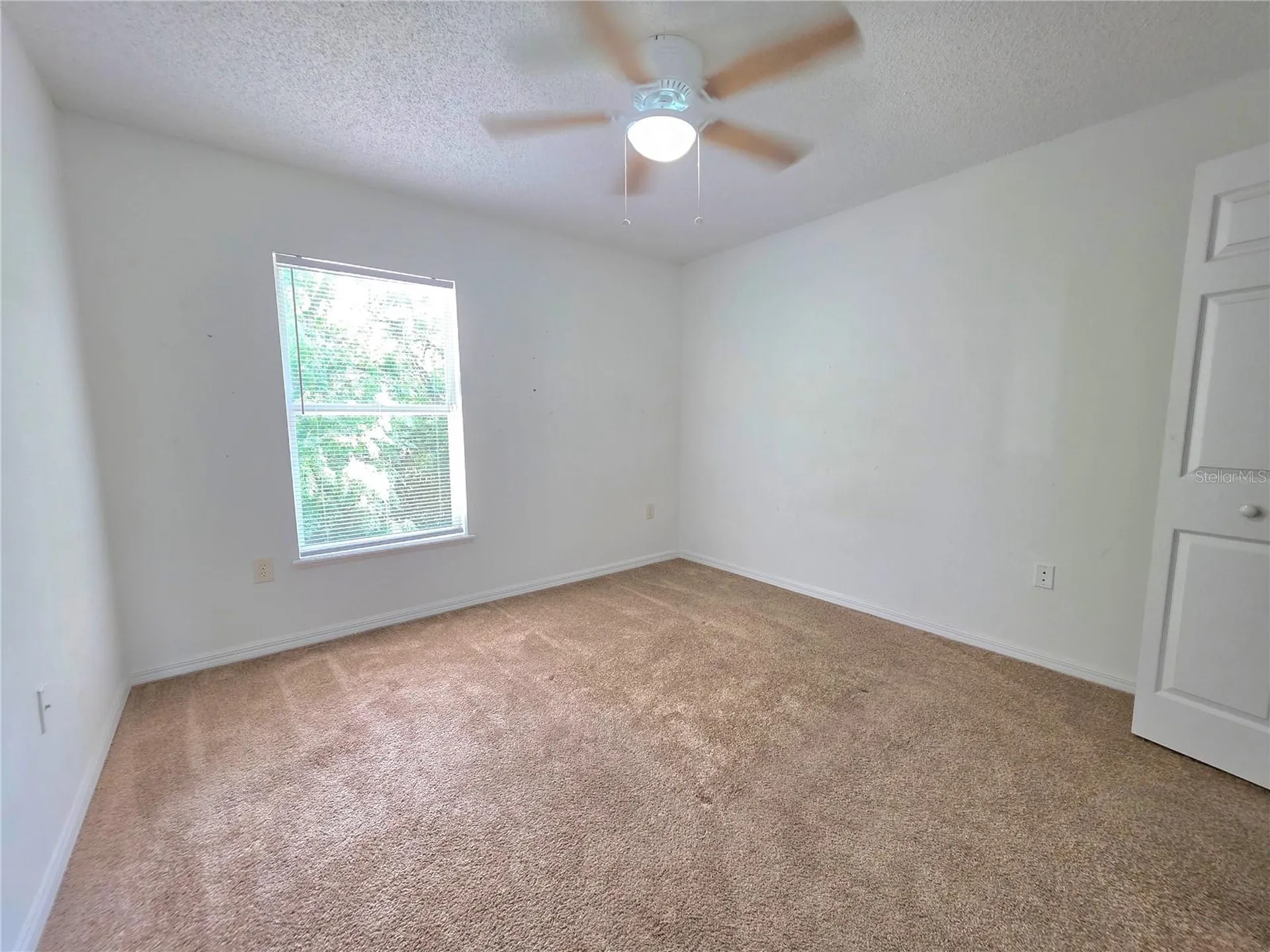 9055 Pemberton Street Spring Hill FL 34608