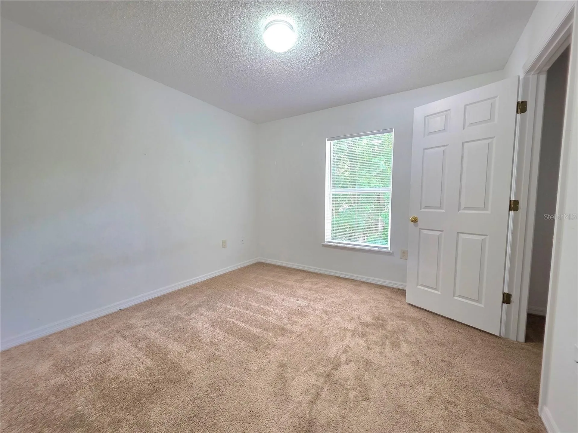 9055 Pemberton Street Spring Hill FL 34608