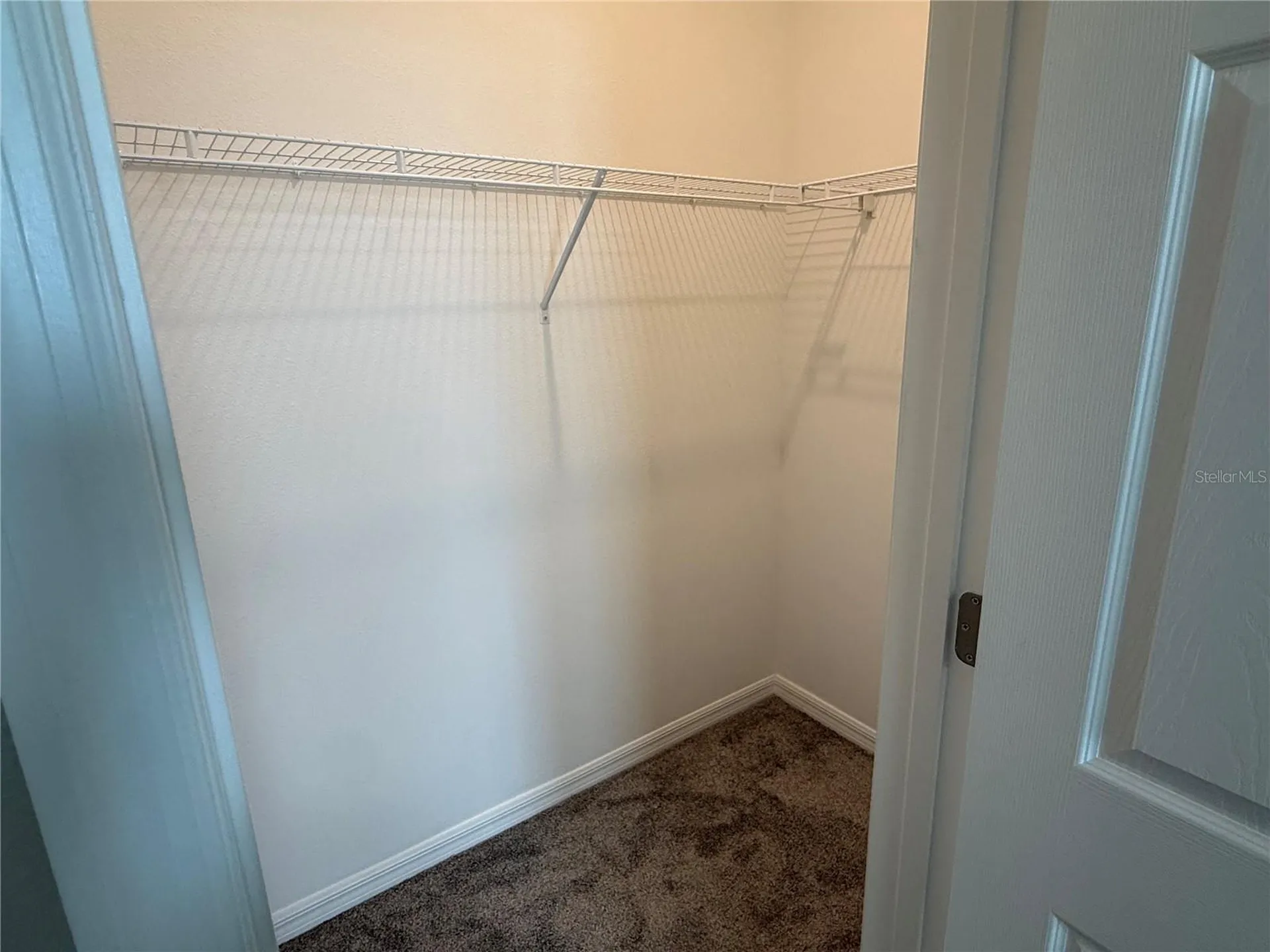 14050 Frasier Street Winter Garden FL 34787