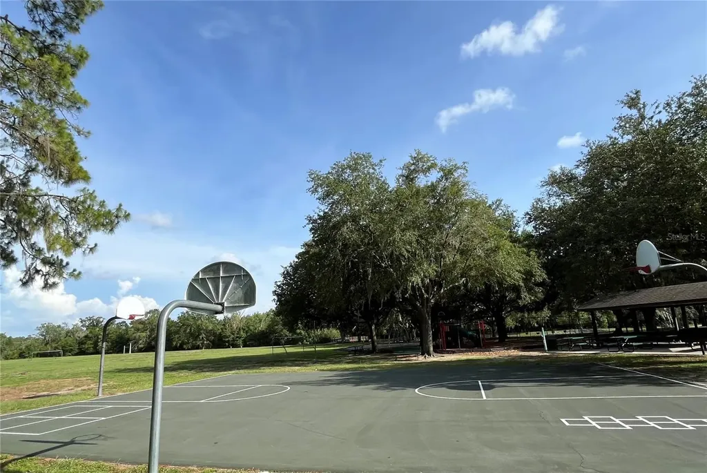 4038 Lithia Ridge Boulevard Valrico FL 33596