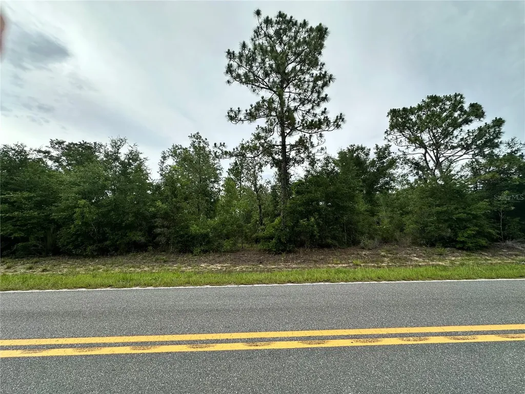 9191 NE 80th Street Bronson FL 32621