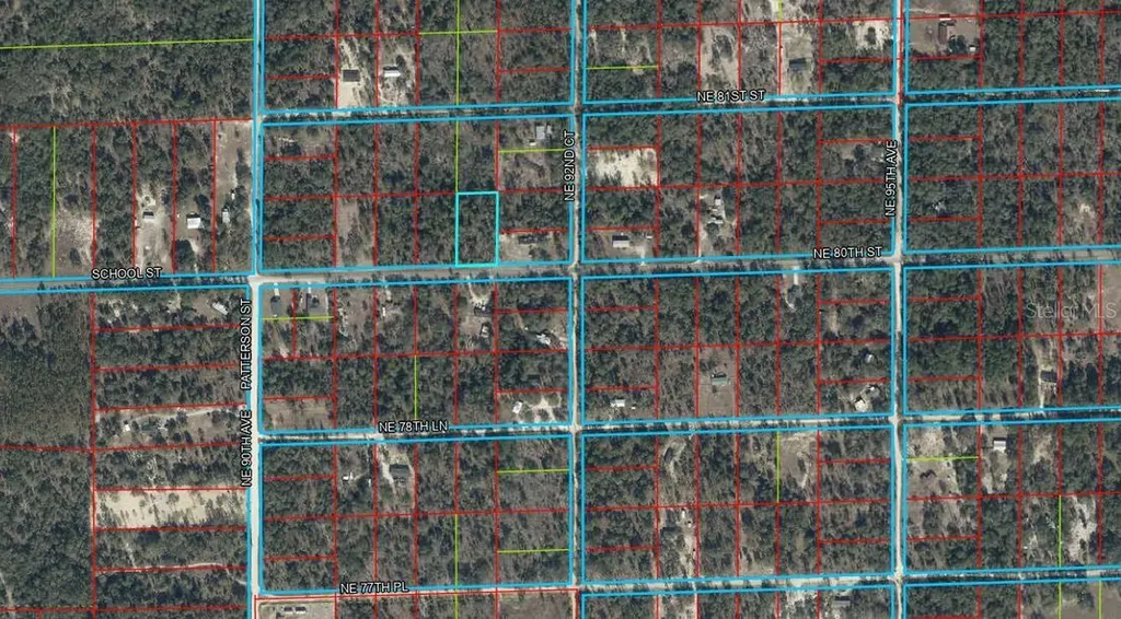9191 NE 80th Street Bronson FL 32621