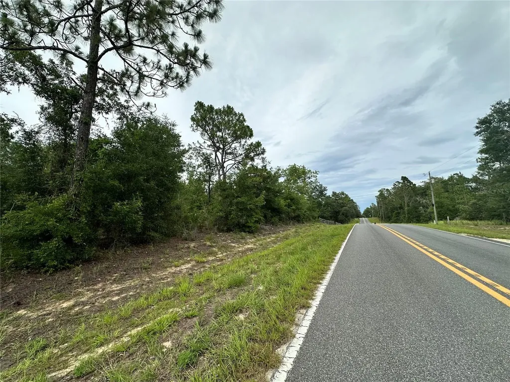9191 NE 80th Street Bronson FL 32621