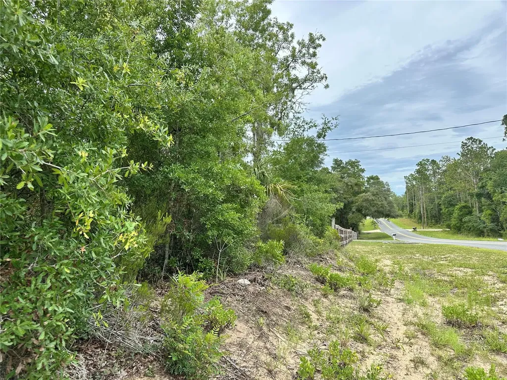 9191 NE 80th Street Bronson FL 32621