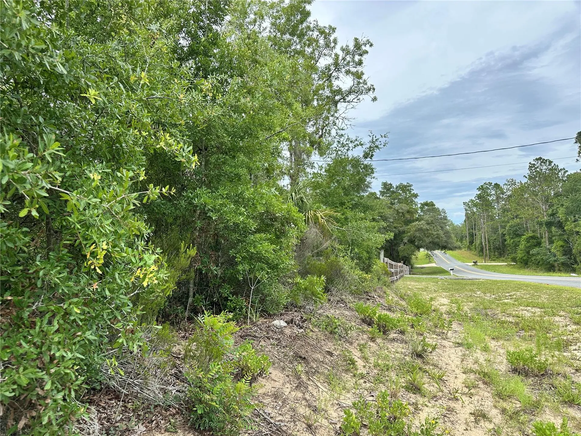 9191 NE 80th Street Bronson FL 32621