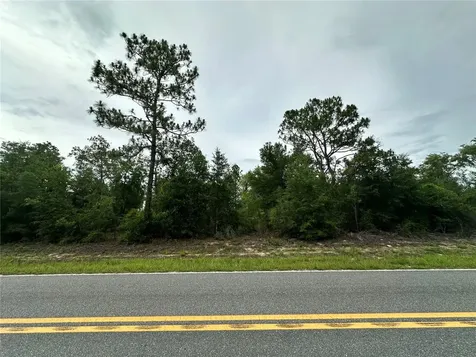 9191 NE 80th Street Bronson FL 32621