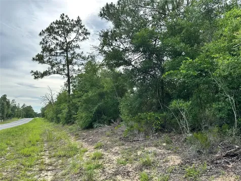 9191 NE 80th Street Bronson FL 32621