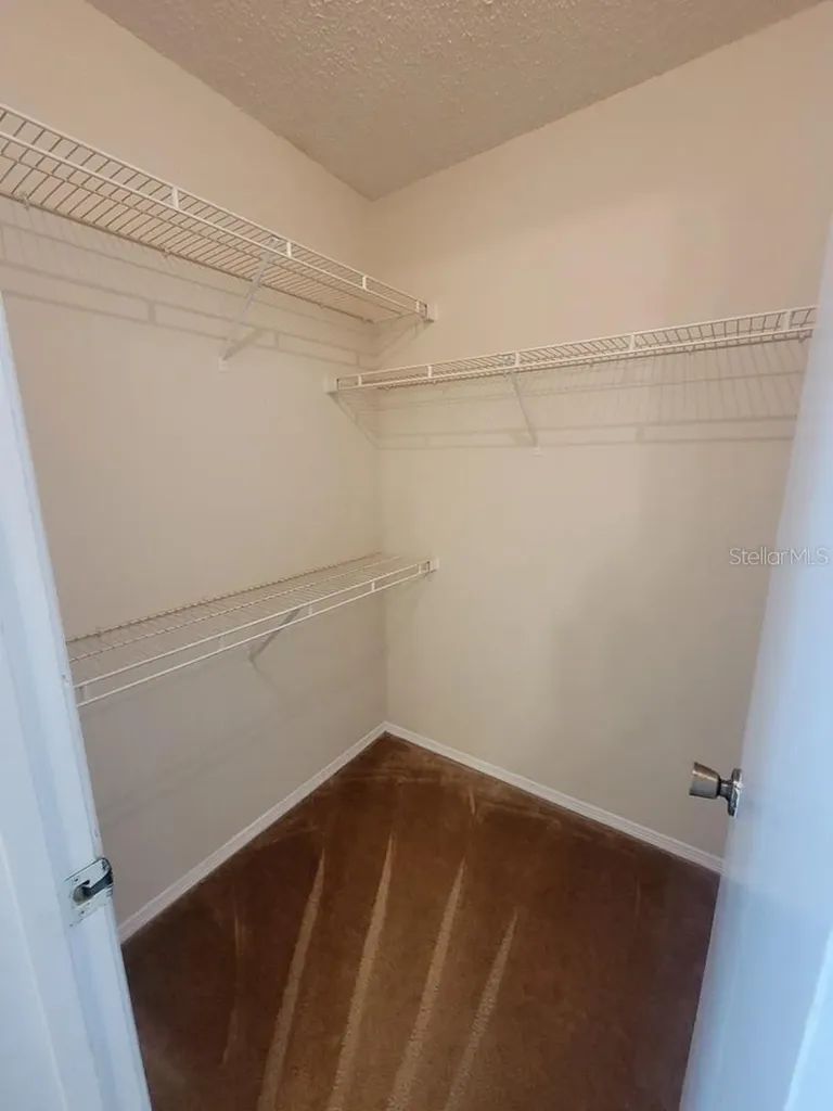 10024 Strafford Oak Court Tampa FL 33624