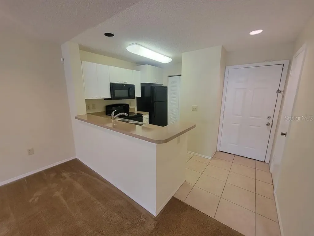 10024 Strafford Oak Court Tampa FL 33624