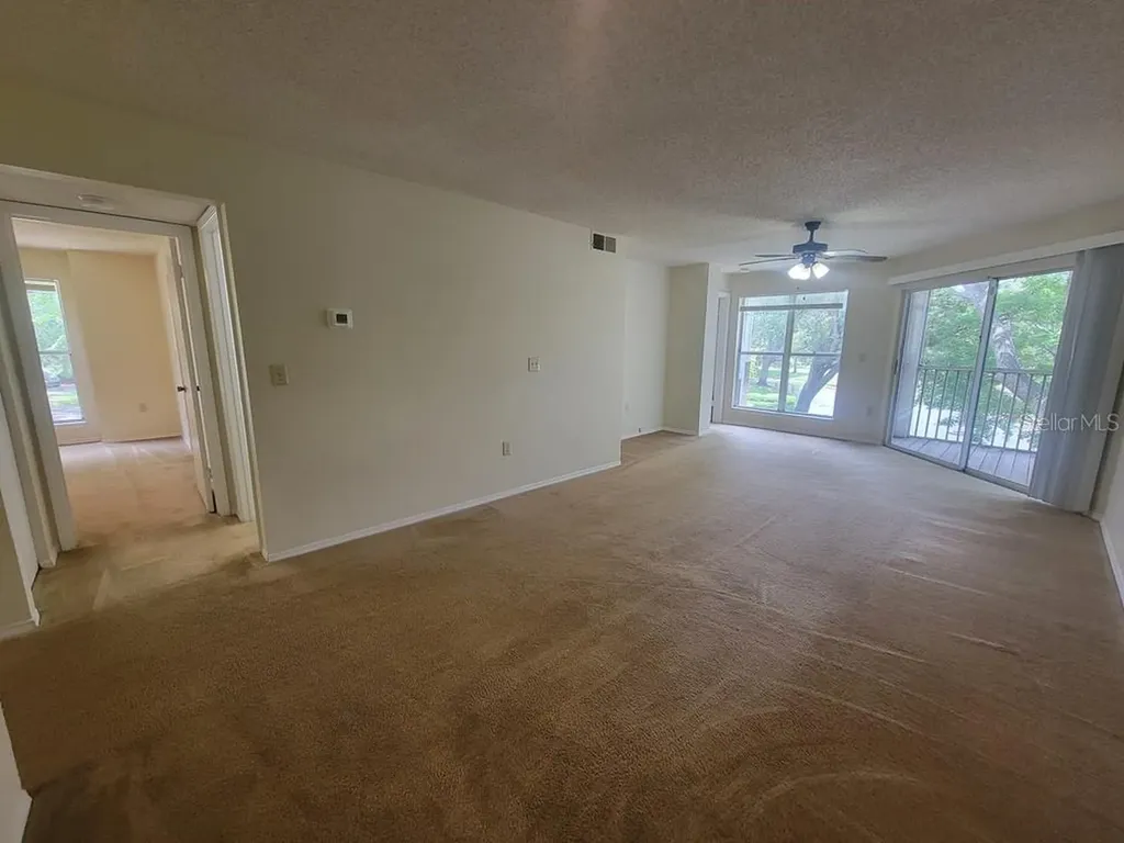 10024 Strafford Oak Court Tampa FL 33624