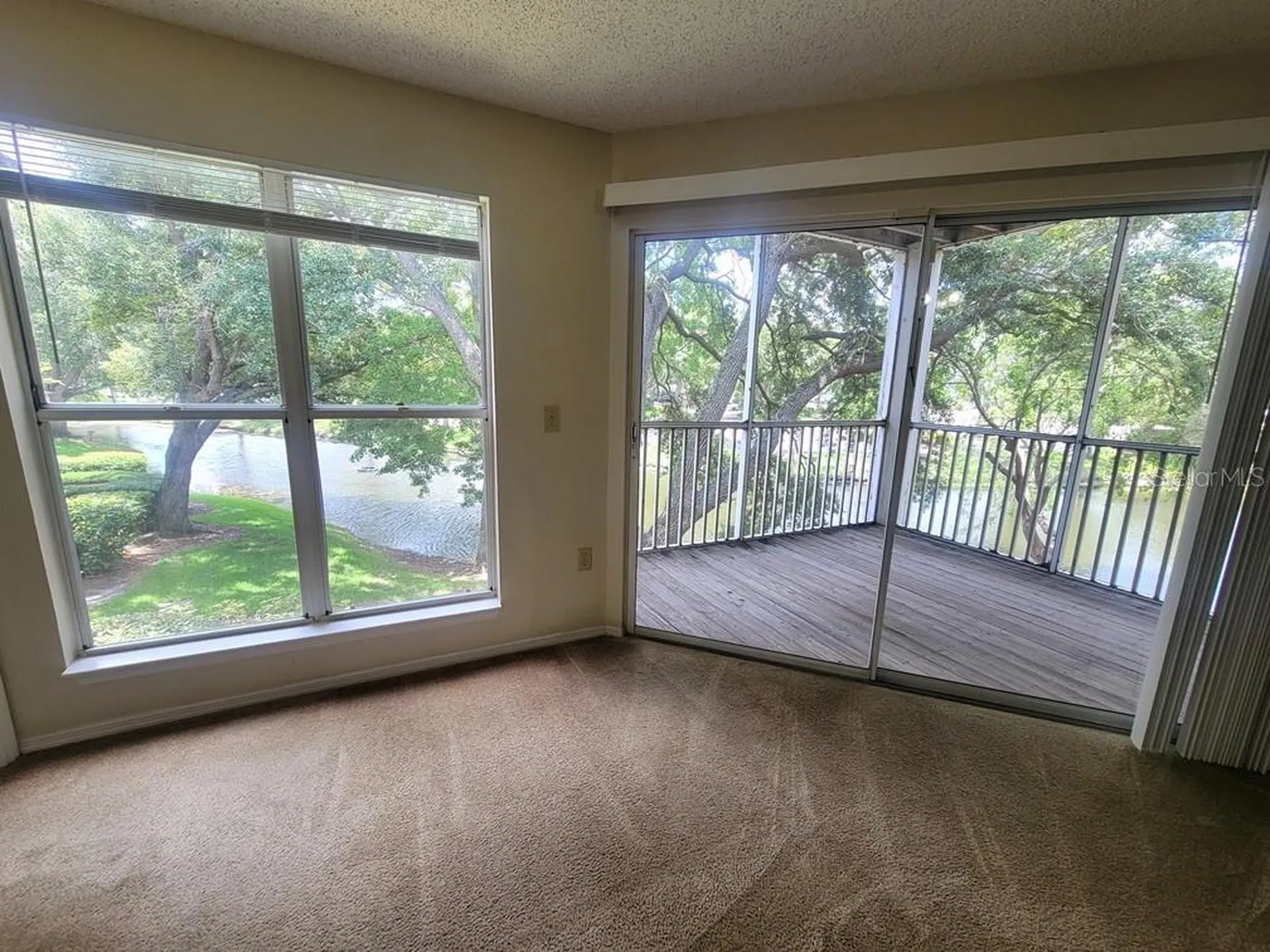 10024 Strafford Oak Court Tampa FL 33624