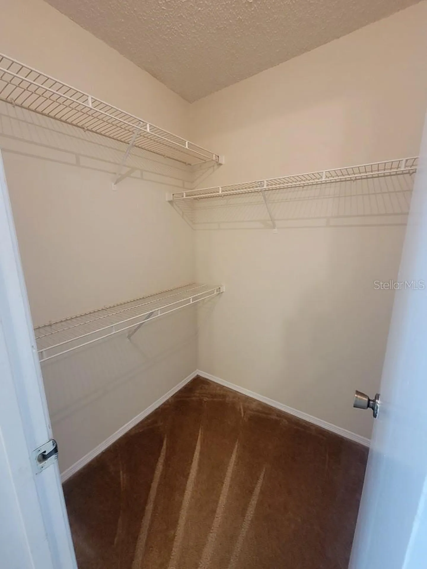10024 Strafford Oak Court Tampa FL 33624