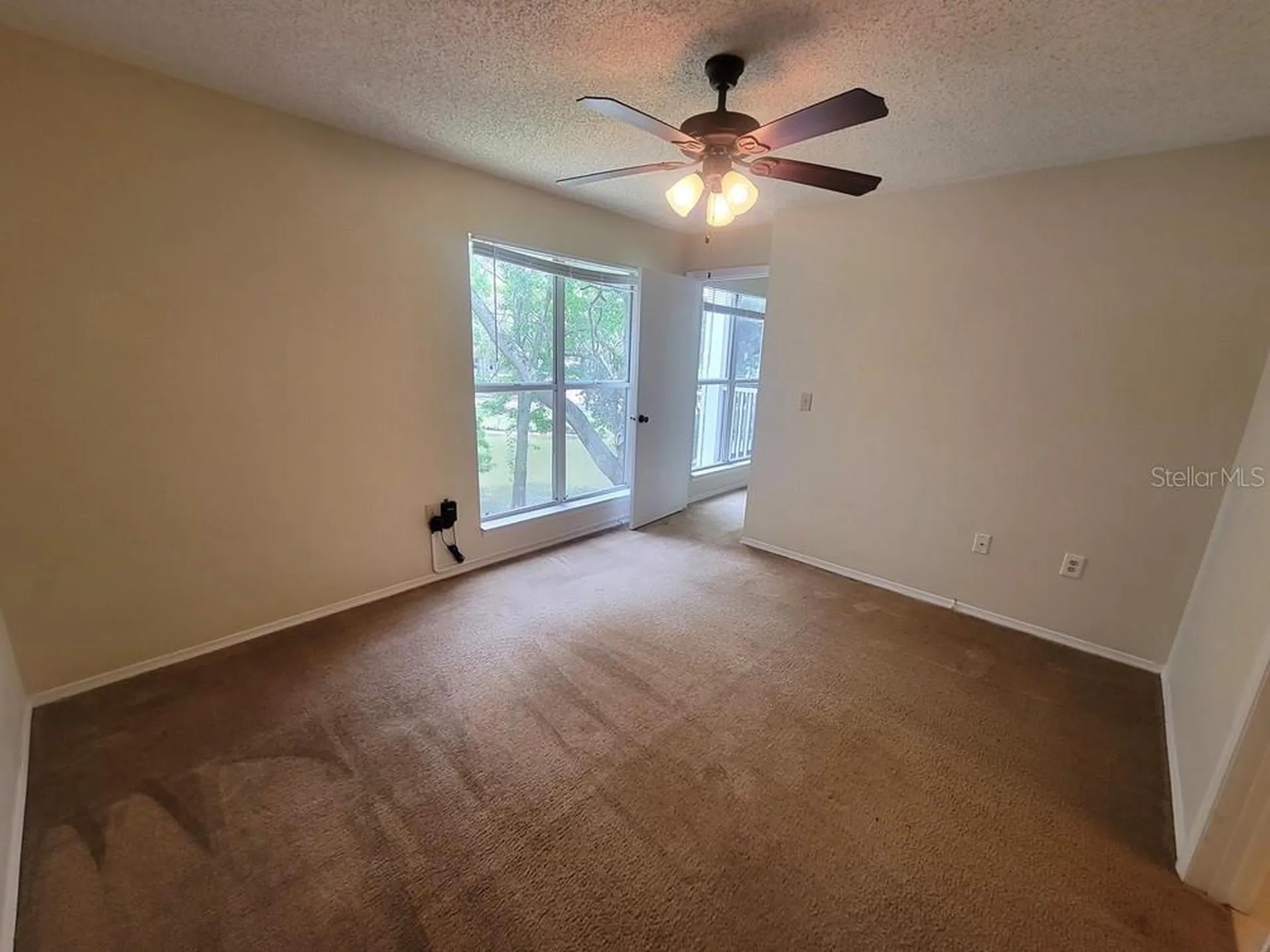 10024 Strafford Oak Court Tampa FL 33624