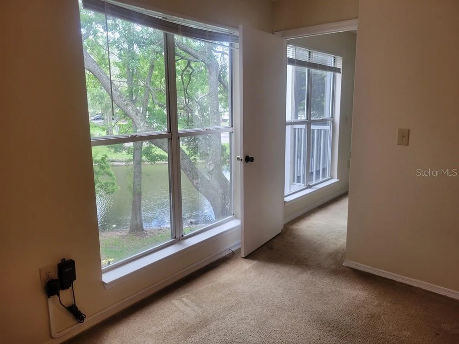 10024 Strafford Oak Court Tampa FL 33624