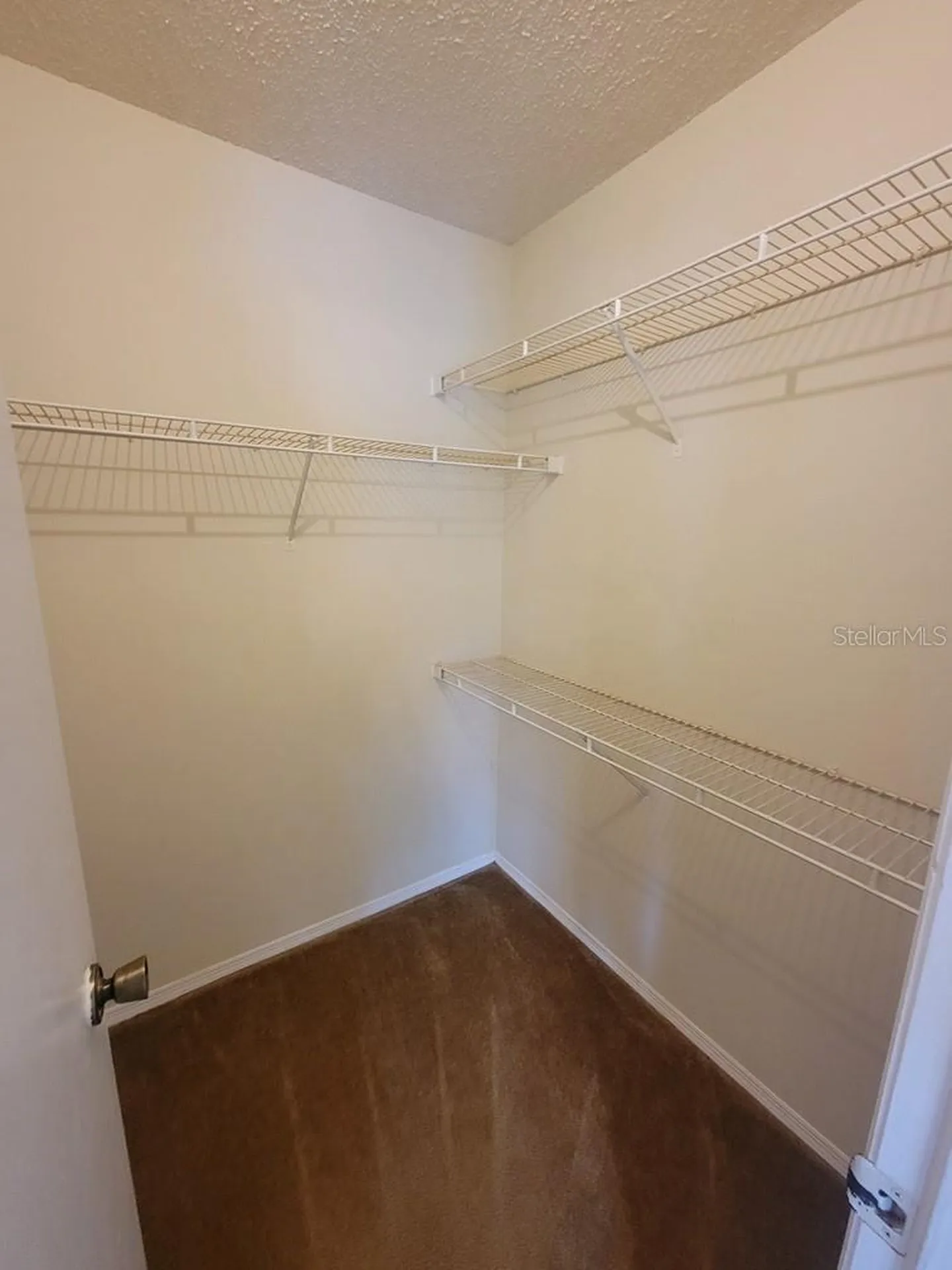 10024 Strafford Oak Court Tampa FL 33624
