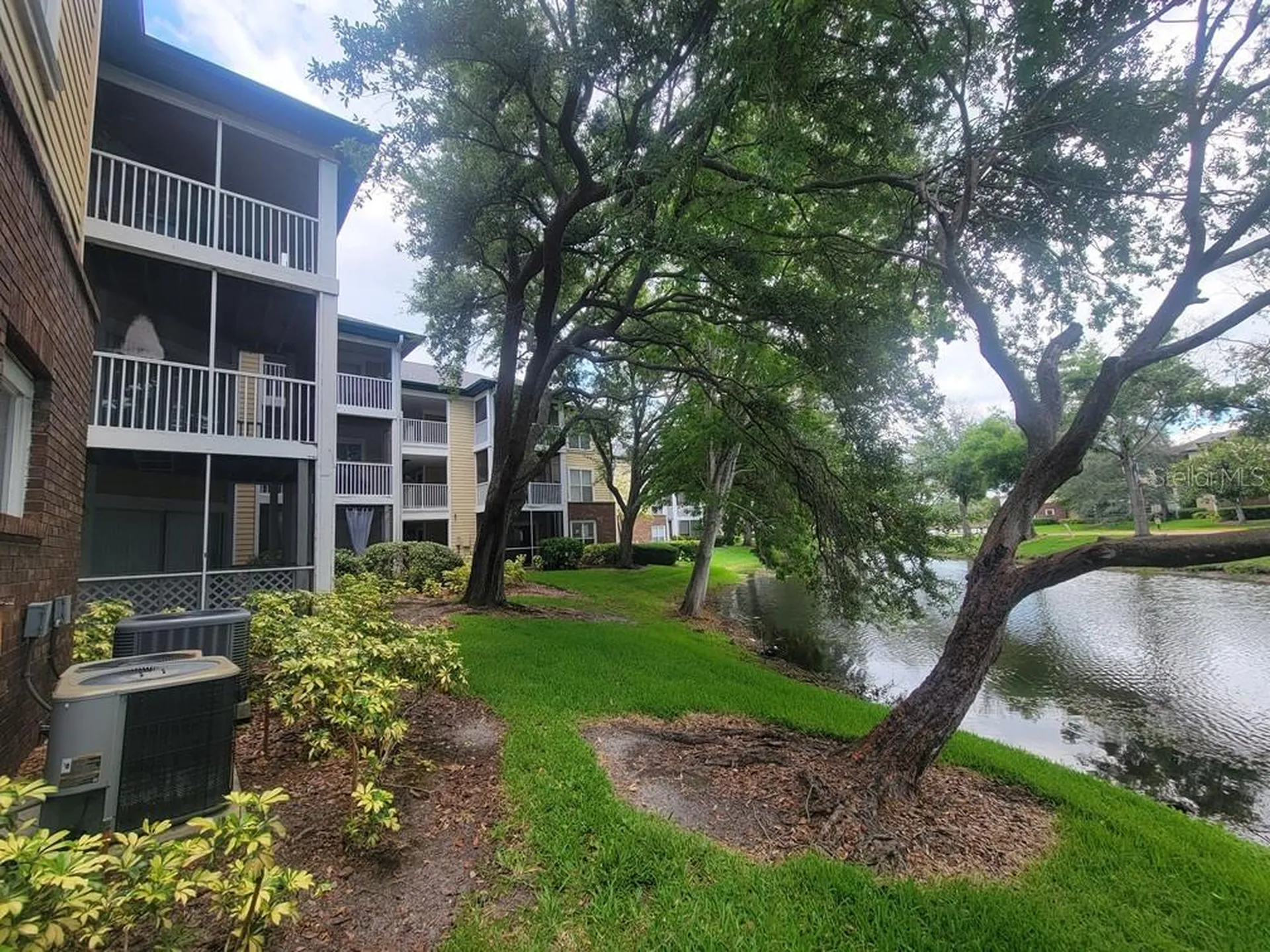 10024 Strafford Oak Court Tampa FL 33624