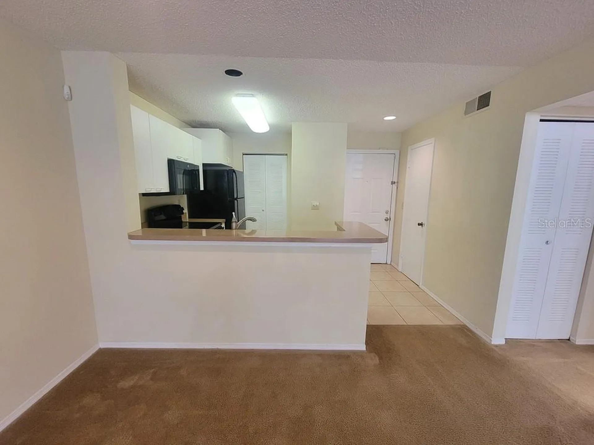 10024 Strafford Oak Court Tampa FL 33624