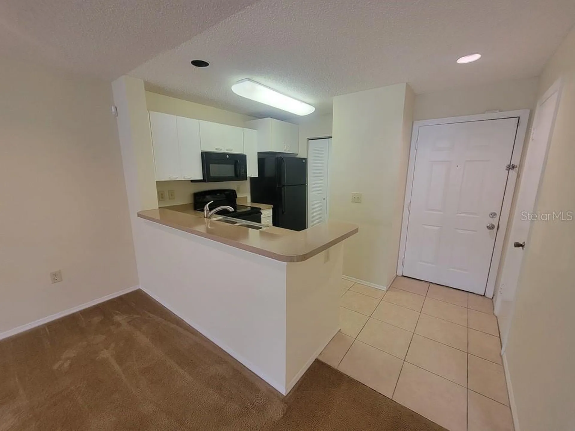 10024 Strafford Oak Court Tampa FL 33624