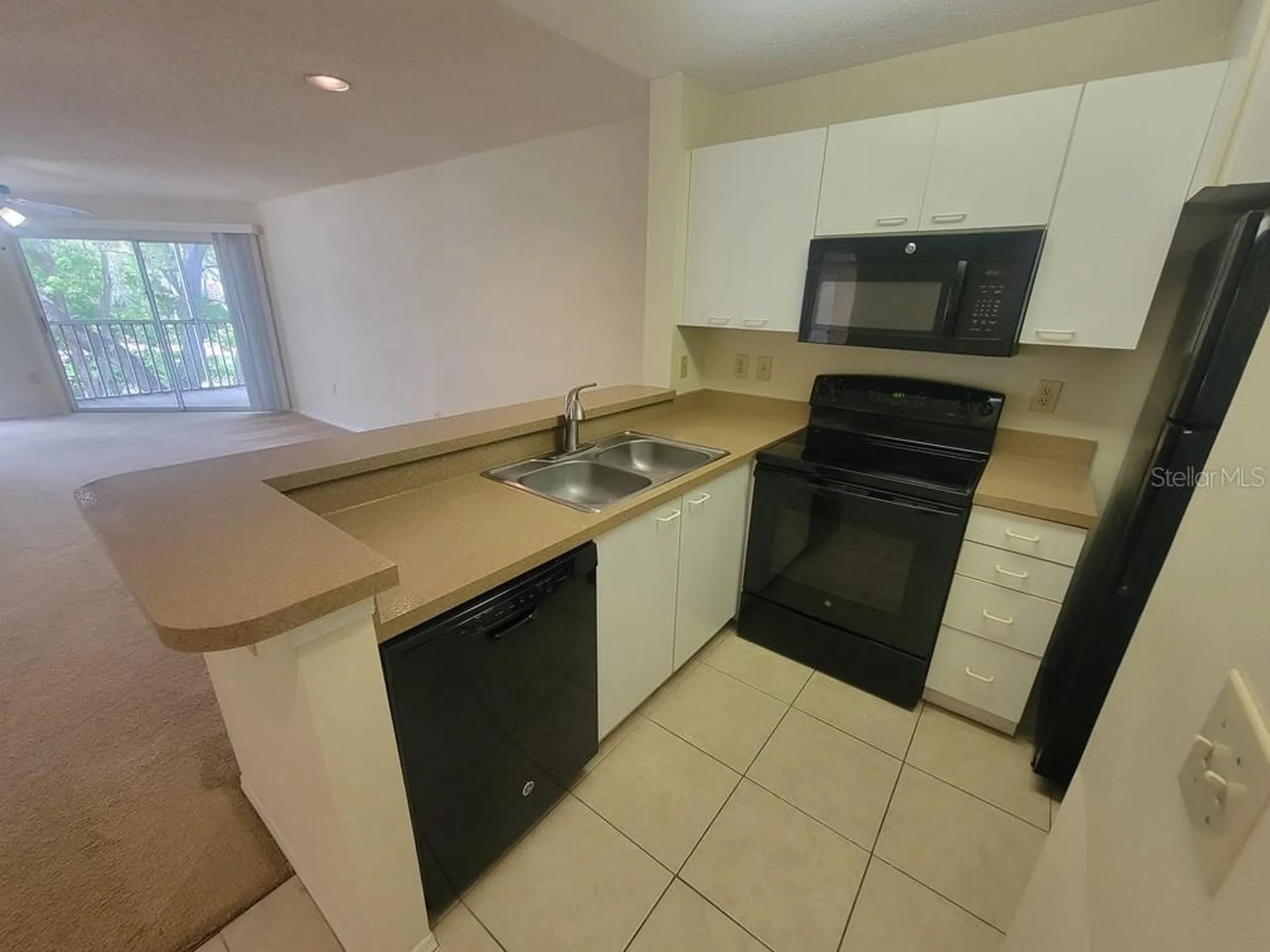 10024 Strafford Oak Court Tampa FL 33624