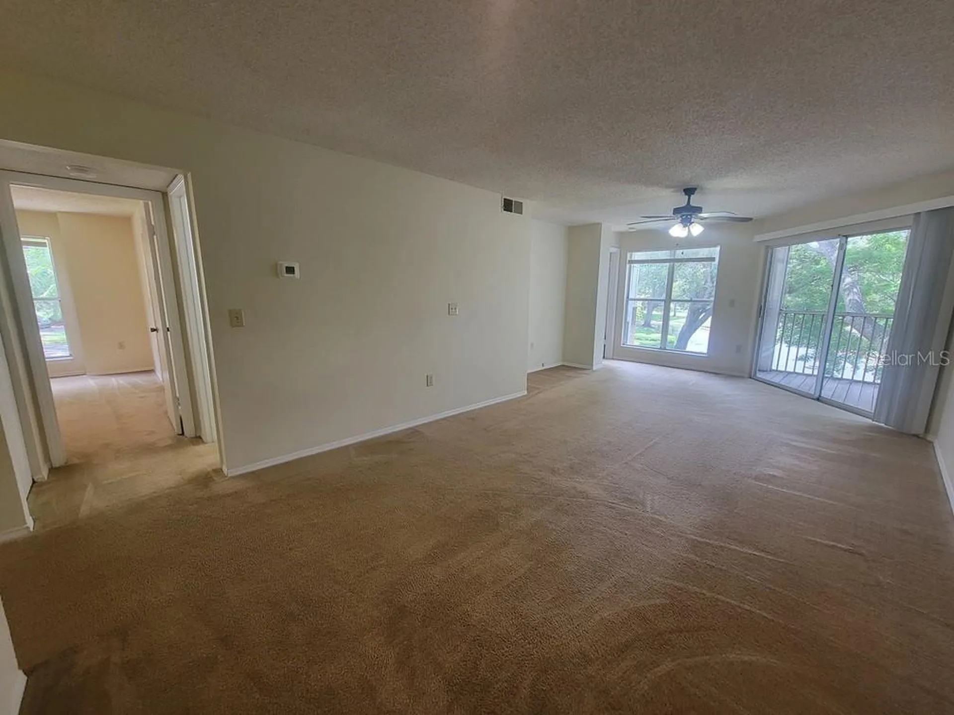 10024 Strafford Oak Court Tampa FL 33624