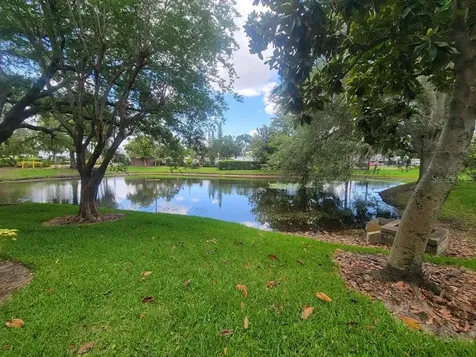 10024 Strafford Oak Court Tampa FL 33624