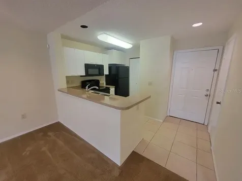 10024 Strafford Oak Court Tampa FL 33624